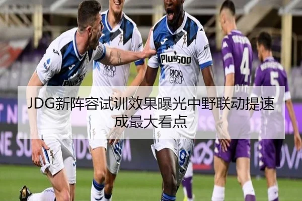 JDG新阵容试训效果曝光中野联动提速成最大看点